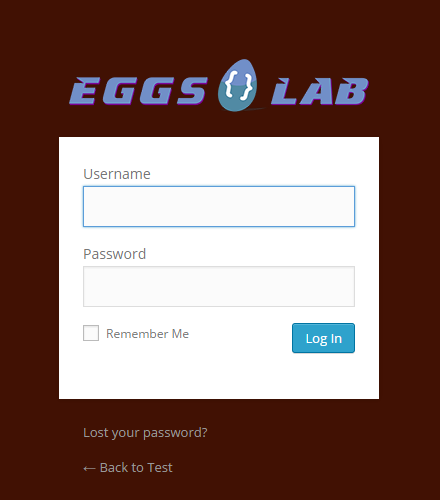 The login page with our custom logo