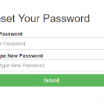 Reset Password Landing Page